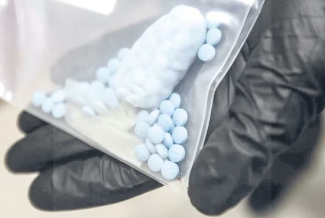 Más de 22 mil pastillas de fentanilo y 2 cuerpos fueron hallados en vivienda de Sonora