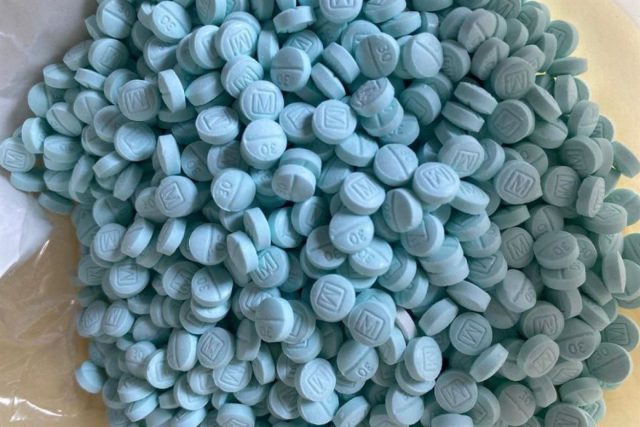 Más de 50 mil pastillas de fentanilo fueron aseguradas en Sonora