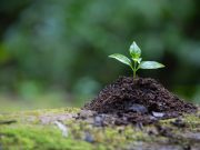 Green Future Index: tres países latinoamericanos logran ingresar al top 30