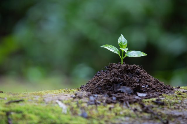 Green Future Index: tres países latinoamericanos logran ingresar al top 30