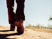 CBP One: cómo funciona la app de Estados Unidos para migrantes sin documentos