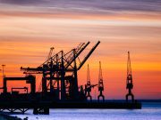 Biopetróleo: ¿una forma innovadora de reducir el dióxido de carbono en la atmósfera?
