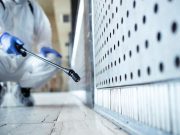 Higiene y prevención, las claves para evitar plagas