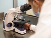 Desarrollan compuesto innovador para regeneración nerviosa y protección del corazón