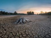 La mitad de los lagos más grandes del mundo están perdiendo agua