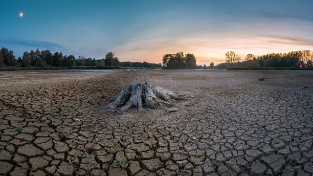 La mitad de los lagos más grandes del mundo están perdiendo agua