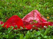 Entra en vigor sanción a comercios por utilizar plásticos de un solo uso en CDMX