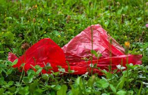 Entra en vigor sanción a comercios por utilizar plásticos de un solo uso en CDMX