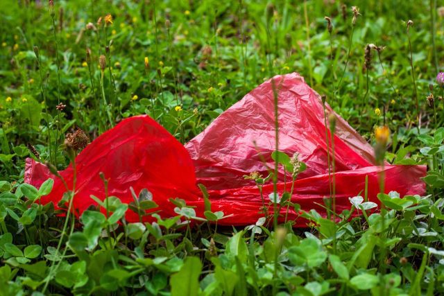 Entra en vigor sanción a comercios por utilizar plásticos de un solo uso en CDMX