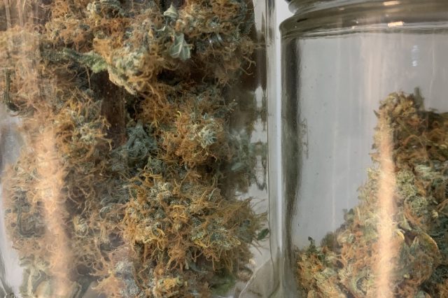 Cómo consumir marihuana con fines recreativos de forma legal en México