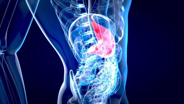 ¿Cómo va la innovación en tratamientos para pacientes con cáncer de hígado?