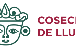 10 mil 977 viviendas en Iztapalapa forman parte del programa de captación de lluvias de la CDMX