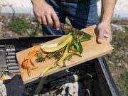 Al año 600 millones de personas enferman por la ingesta de alimentos contaminados
