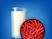 Probióticos, los alimentos funcionales para tener un equilibrio de salud