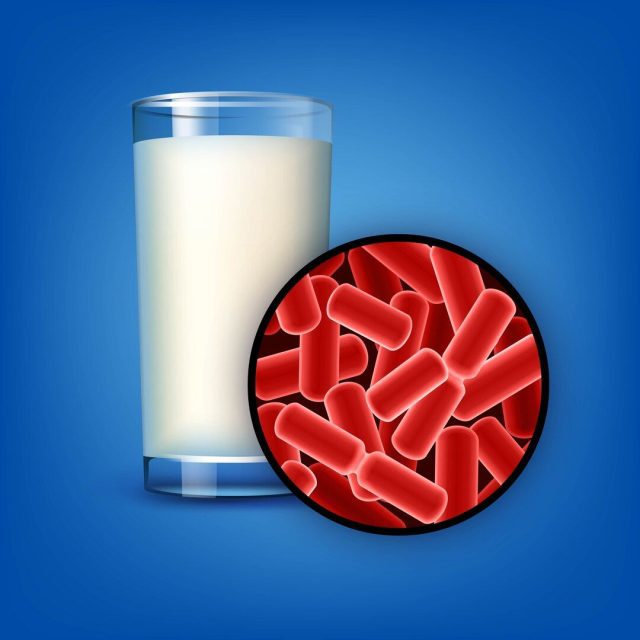 Probióticos, los alimentos funcionales para tener un equilibrio de salud