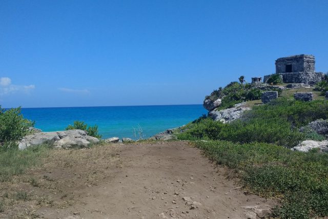 Sector turístico no cumple con la demanda del transporte terrestre en Caribe mexicano