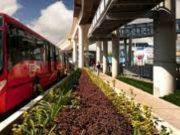 Metrobús CDMX cumple 18 años; da servicio a 1.800 millones de personas