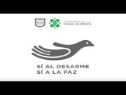 Fusil de asalto y granada de mortero logros del desarme voluntario