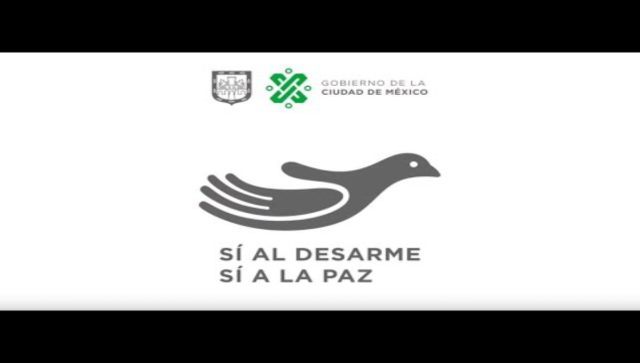 Fusil de asalto y granada de mortero logros del desarme voluntario
