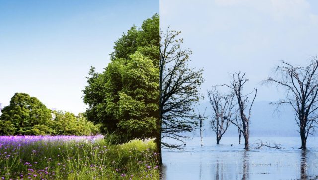 Degradación ambiental resulta en pérdidas anuales de 75 mil millones de dólares
