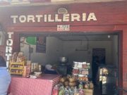 ¿Entre comer una tortilla de harina o de maíz? Estas son algunas consideraciones