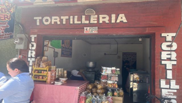 ¿Entre comer una tortilla de harina o de maíz? Estas son algunas consideraciones