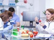 Se vela por la consolidación de la seguridad alimentaria en México