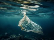 Voluntarios recogen 1.3 millones de envases de comida en los mares