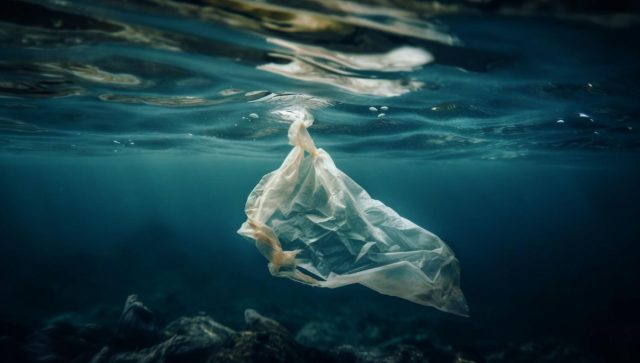 Voluntarios recogen 1.3 millones de envases de comida en los mares