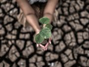 Noticias sobre el cambio climático: ¿Asustan o motivan a la acción?