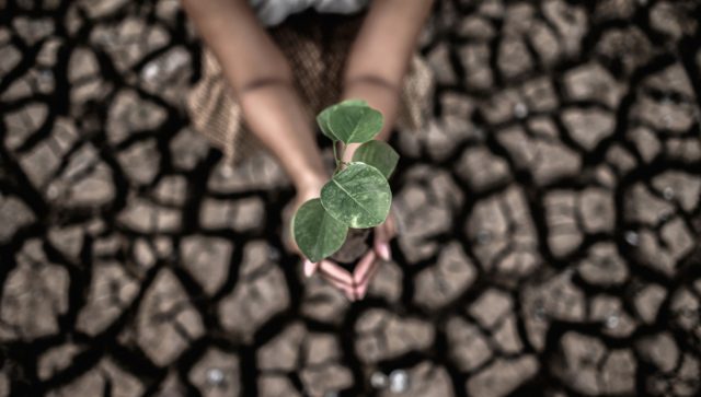 Noticias sobre el cambio climático: ¿Asustan o motivan a la acción?