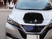 Coches japoneses, coreanos, entre las tendencias del arrendamiento vehicular