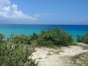 Estudio revela el impacto del color del mar debido al cambio climático