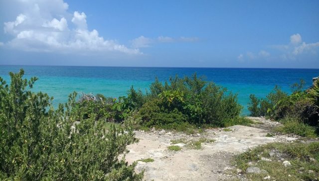 Estudio revela el impacto del color del mar debido al cambio climático