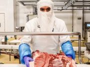 Crecen 4.48 % exportaciones agroalimentarias mexicanas en lapso enero-mayo