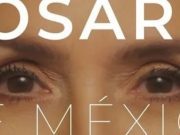 Regresa Rosario Robles a la actividad social y política; anuncia serie y libro