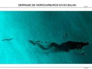 “Es una exageración”: AMLO sobre derrame de petróleo en el Golfo de México