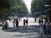 AMLO confirma recuperación y rehabilitación del Bosque de Chapultepec