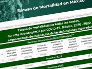 Qué significa el exceso de mortalidad de más de 800 mil personas en pandemia