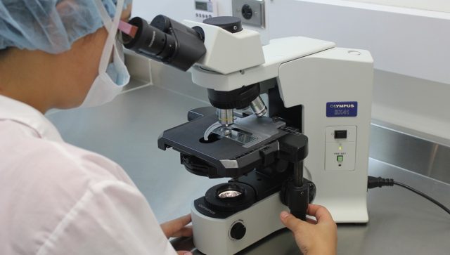 Secretaría de Salud registra 300 casos de lepra en México
