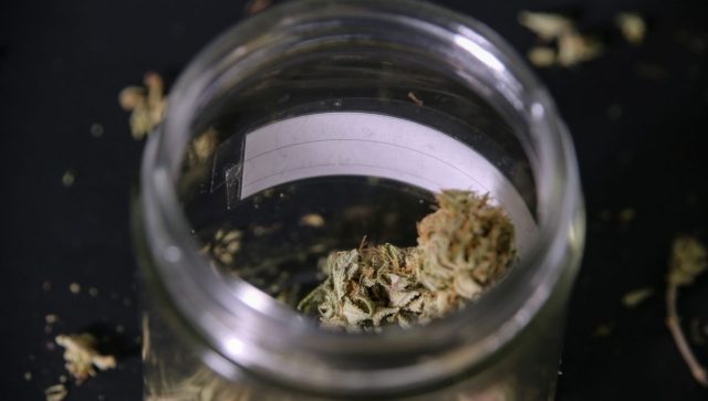 Ohio buscará colocar la legalización de cannabis como tema en la boleta electoral