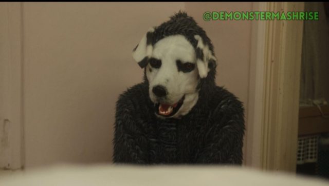En septiembre se estrena “Good Boy”, película de terror que te va a incomodar