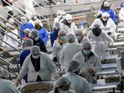 Aumenta empleo en Sonora durante julio
