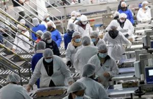 Aumenta empleo en Sonora durante julio