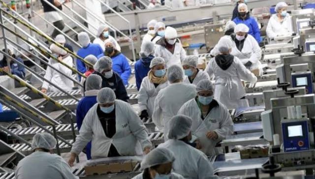 Aumenta empleo en Sonora durante julio