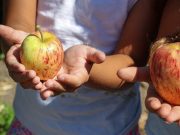 La desnutrición causa cuatro de cada 10 muertes en menores de 5 años, según la ONU
