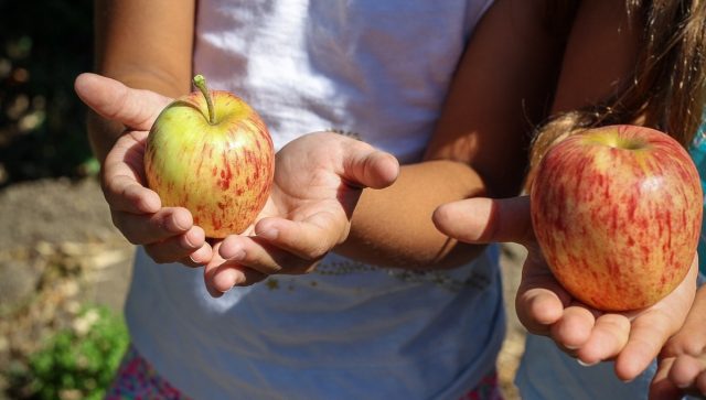 La desnutrición causa cuatro de cada 10 muertes en menores de 5 años, según la ONU