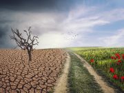 Cambio climático daña el suministro de alimentos del mundo