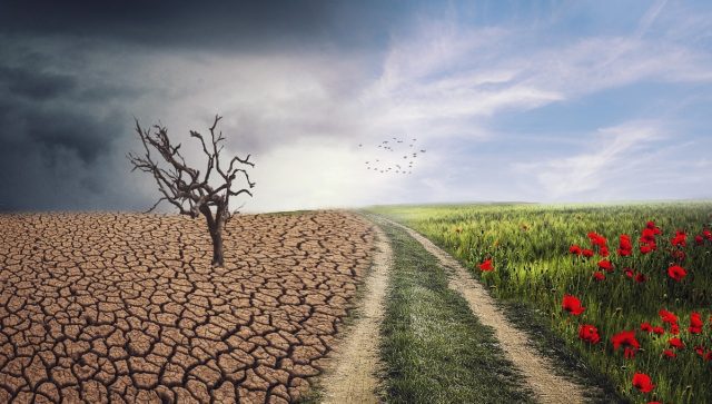 Cambio climático daña el suministro de alimentos del mundo