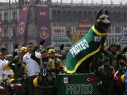 Homenajean a Proteo en Desfile Cívico Militar, héroe canino fallecido en Turquía